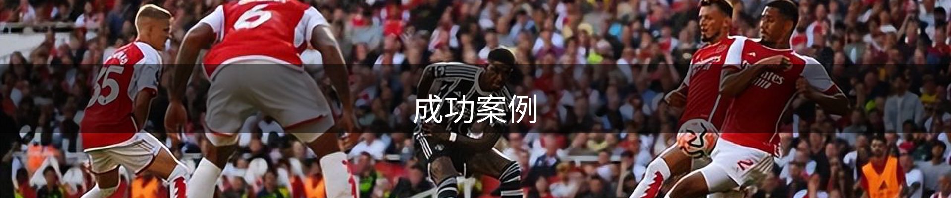 成功案例